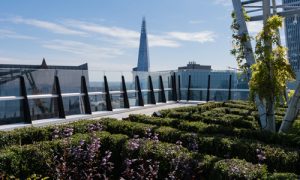 The Garden at 120