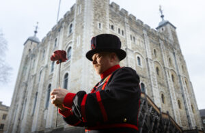 Poppies at the Tower of London