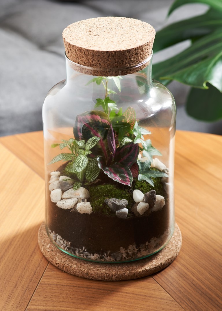 Outdoor Terrarium Workshop at Seething Lane Garden