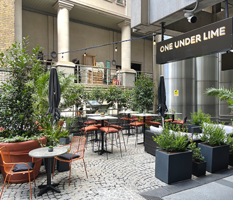 Market Fest Street Food & Sunset in the City at One Under Lime